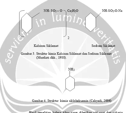 Gambar 3. Struktur kimia Kalsium Siklamat dan Sodium Siklamat 