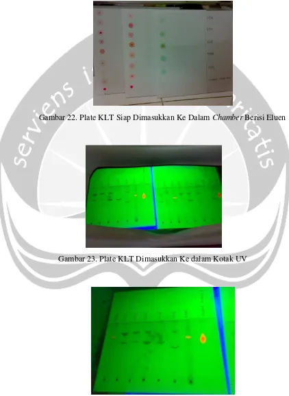 Gambar 22. Plate KLT Siap Dimasukkan Ke Dalam Chamber Berisi Eluen 