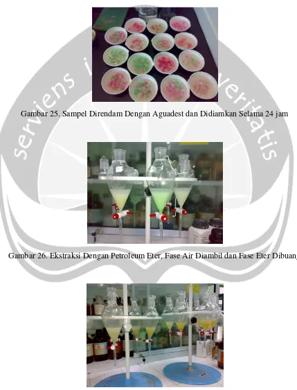 Gambar 25. Sampel Direndam Dengan Aguadest dan Didiamkan Selama 24 jam 