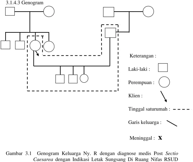 Gambar  3.1    Genogram  Keluarga  Ny.  R  dengan  diagnose  medis  Post  Sectio  Caesarea  dengan  Indikasi  Letak  Sungsang  Di  Ruang  Nifas  RSUD  Bangil Pasuruan 