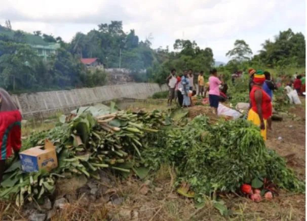 Figure 1. Raw Material Collection Event in  Bakar Batu Tradition