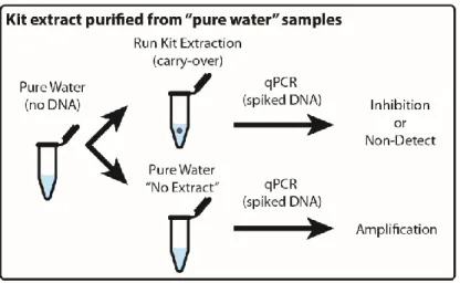 Figure 2.9: Example protocol used for experiments performed on “pure water.” 