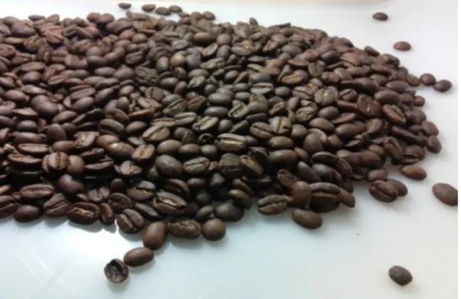 Gambar 2.11 dark roast 2.5 Perbedaan antara kopi robusta dan arabika 