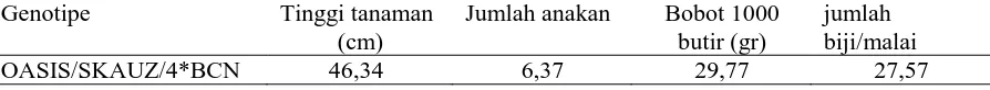 Tabel 3 : Penampilan pertumbuhan dan hasil beberapa  genotipe yang ditanam di dataran rendah Ngalian Kabupaten Semarang (13 m dpl) Genotipe Tinggi tanaman Jumlah anakan Bobot 1000 jumlah 