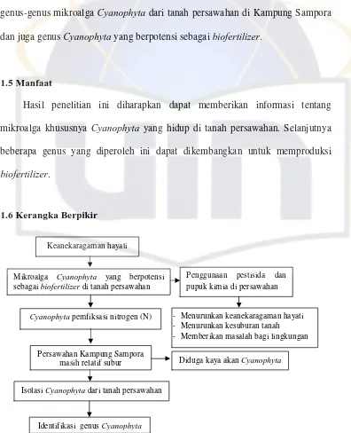 Gambar 1. Diagram Alir Kerangka Berpikir 