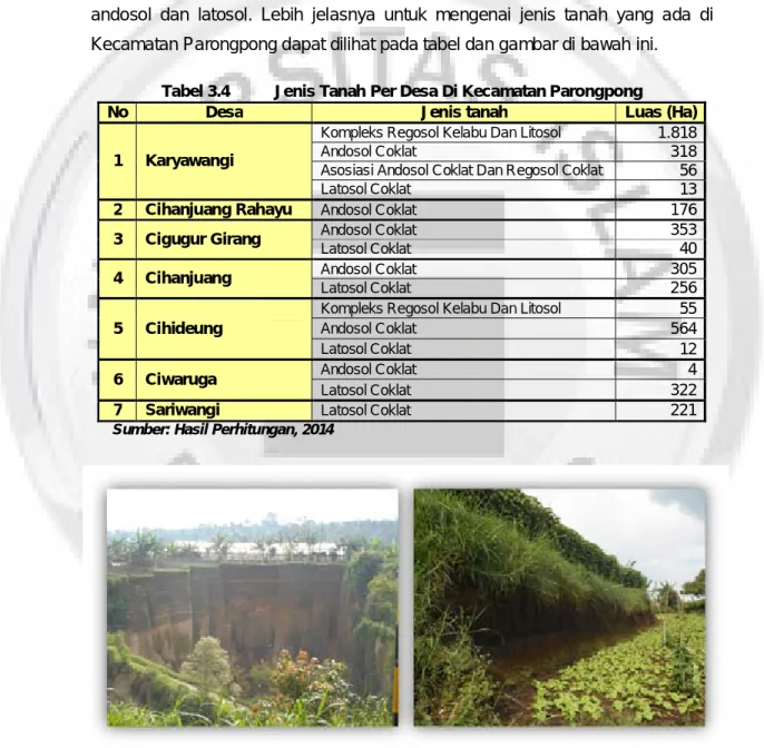 Tabel 3.4  Jenis Tanah Per Desa Di Kecamatan Parongpong 