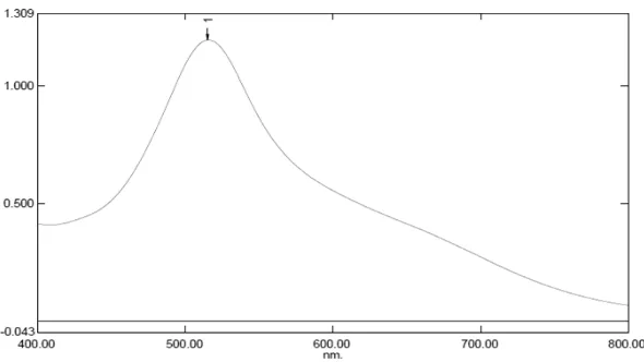 Gambar 4.1 Kurva serapan maksimum larutan DPPH 40 ppm dalam metanol secara spektrofotometeri visibel