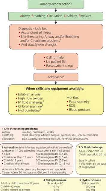 Figure 2.1 Anaphylaxis algorithm.
