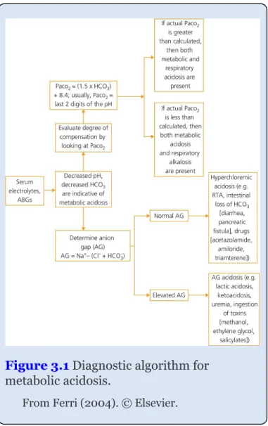 Figure 3.1 Diagnostic algorithm for metabolic acidosis.