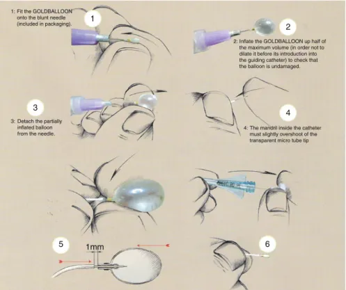 Fig. 1 (continued)