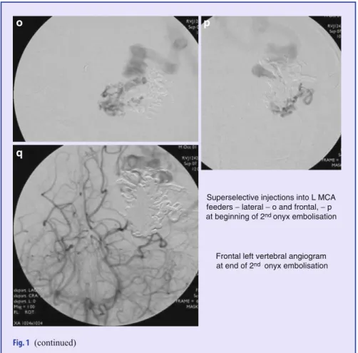 Fig. 1 (continued)