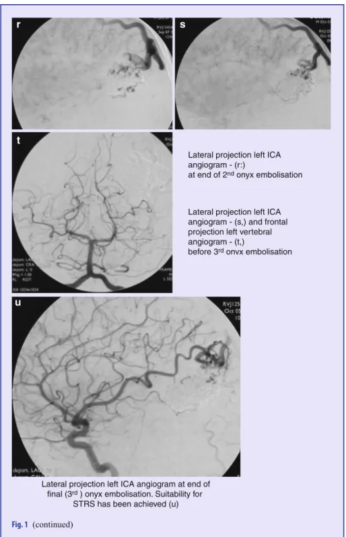 Fig. 1 (continued)
