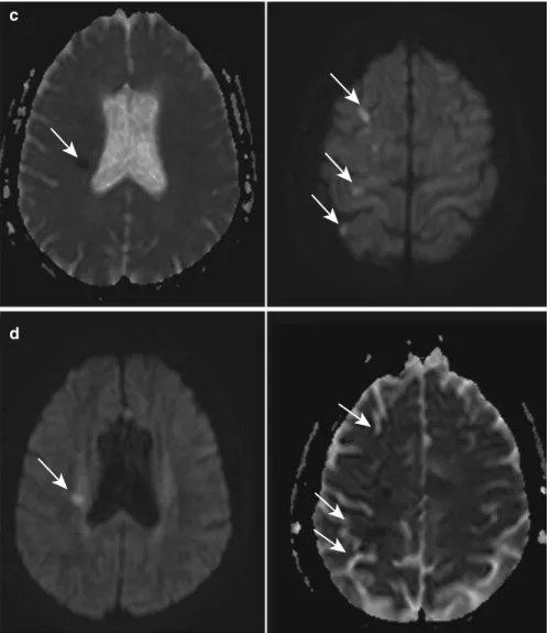 Fig. 1 (continued)