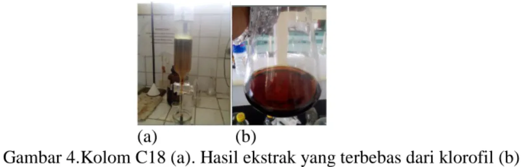 Gambar 4.Kolom C18 (a). Hasil ekstrak yang terbebas dari klorofil (b) 