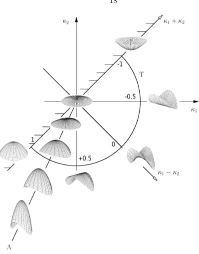 Figure 2.6: Representative local shape in the combined (κ 1 ,κ 2 ) plane