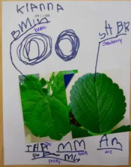 Figure 5.  Kianna’s journal, April 11. 
