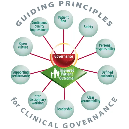 Figure 3: Guiding Principles for Clinical Governance