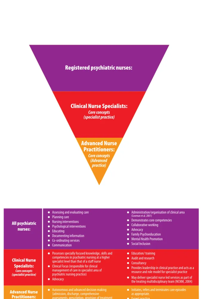 Figure 6: Overview of professional psychiatric/mental health nursing roles 