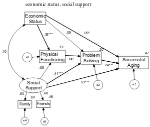 Figure 1. Hypothesized Model of Successful Aging Mediated by Problem Solving Ability