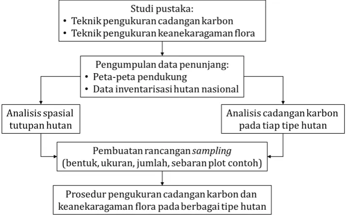 Gambar 1. Kerangka pemikiran dalam penyusunan panduan pengukuran cadangan karbon dan keanekaragaman flora di areal proyek BIOCLIME, Sumatera Selatan 