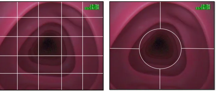 Figure 3.2: Spatial partitioning rules for feature vector composition.
