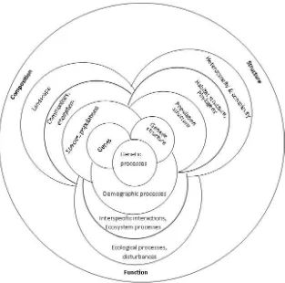 Figure 1: The hierarchical definition of biodiversity. Biodiversity defined as a multidimensional ��eta�o��ept� e��o�passi�g ge�es, populatio�s, spe�ies, ha�itat a�d ecosystem