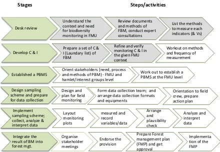 Figure 5: Stages of participatory forest biodiversity monitoring (Adopted from ANSAB, 2010)
