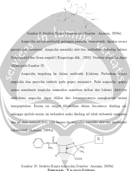 Gambar 10. Struktur Kimia Ampisilin (Sumber : Anonim, 2009a) Keterangan : X = cincin β-laktam  