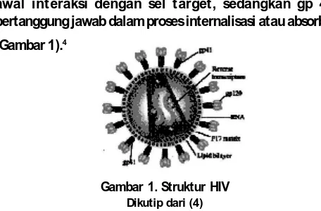 Gambar 2. Patofisiologi  HIV-AIDS