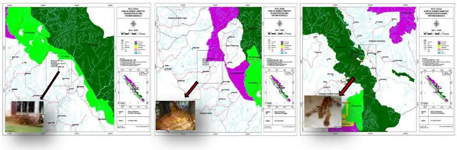 Gambar 1. Peta lokasi sebaran penyakit infeksius yang menyerang harimau Sumatera di Bengkulu 