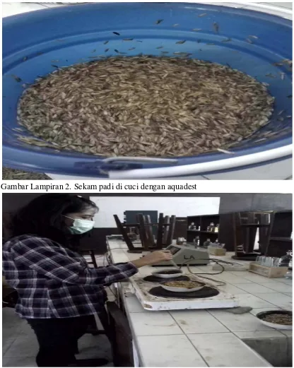 Gambar Lampiran 2. Sekam padi di cuci dengan aquadest 