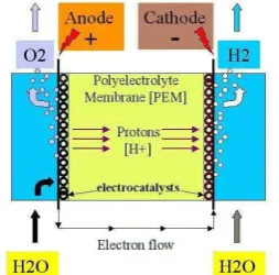 Figure 1 illustrates working principle of a PEM electrolyzer. 