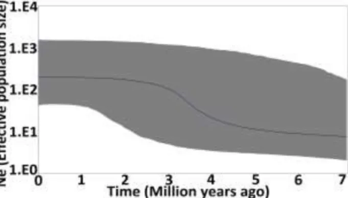 Figure 3. Bayesian Skyline Plot illustrating effective population size (Ne) through the time on Cryptelytrops insularis