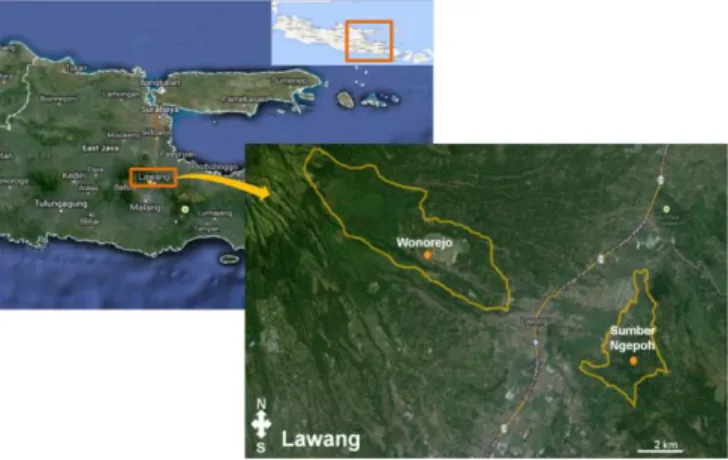 Figure 1. Map of study sites in Lawang