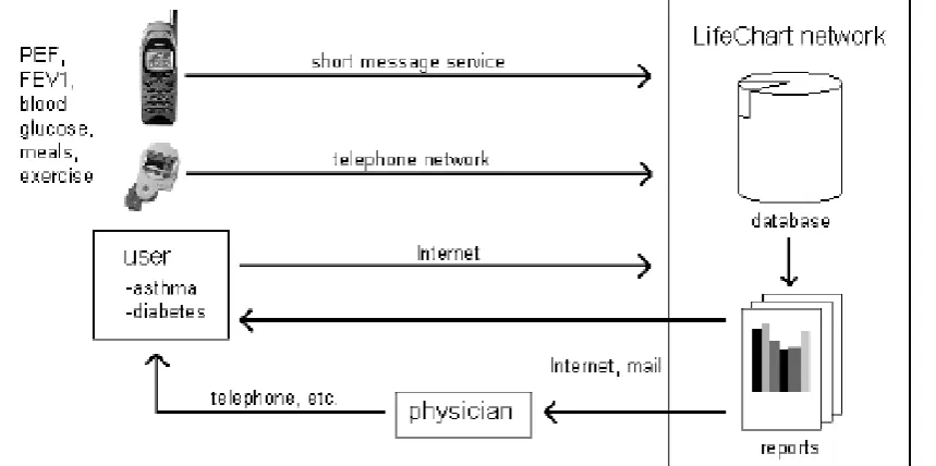Figure 1. Schematic diagram of TERVA system 
