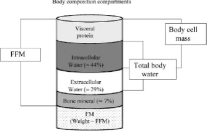 Figure 6. The human body consists of resistance and capacitance connected in parallel or in series 