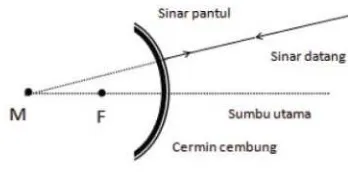 Gambar 9. Sinar yang datang menuju titik fokus dipantulkan sejajar sumbu utama