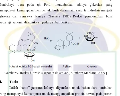 Gambar 9. Reaksi hidrolisis saponin dalam air [ Sumber : Marliana, 2005 ] 