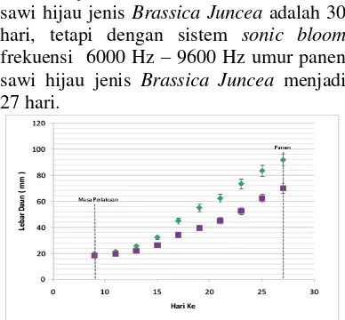 Gambar 6. Grafik lebar daun antara  sawi sendok (Brassica Juncea)  dengan perlakuan dan  sawi sendok ( Brassica Juncea)  tanpa perlakuan