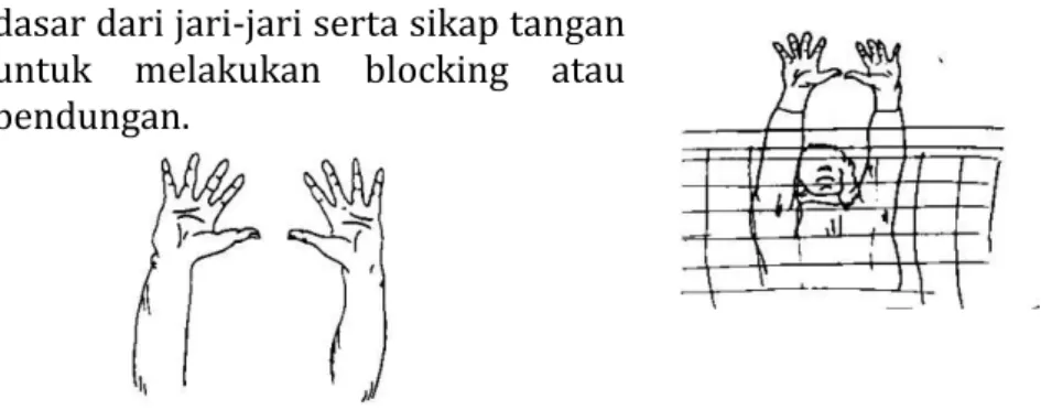 Gambar 2.12. Sikap jari-jari tangan saat melakukan blocking  Berikut  akan  diilustrasikan  dalam  bentuk  gambar  dimana  seseorang  pemain  melakukan  blocking  dengan  sendiri  (Blocking tunggal) 
