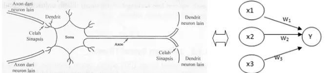 Gambar 1. Perbandingan str struktur jaringan syaraf biologi dengan  jaringan syaraf  tir   tiruan 