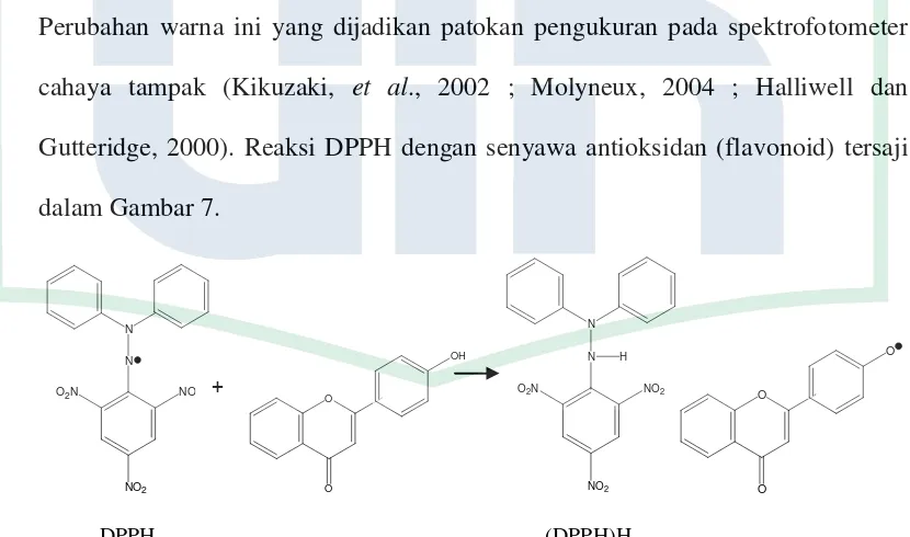Gambar 7. DPPH dengan senyawa flavonoid (Widyaningsih, 2010) 