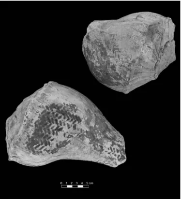 FIGURE 4.14. Unengraved shell cups with exterior basket impres- impres-sions (423232s02 and 423232s04).
