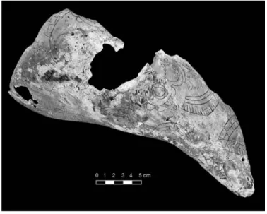 FIGURE 4.23. Mace, ogee with streamers, human head, and bilobed  arrows on two sides of Braden B style shell (448785).