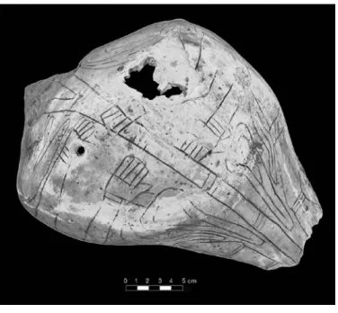 TABLE 4.4. Engraved shell fragments in the nMnh collection not reported in Phillips and Brown (1978, 1984).
