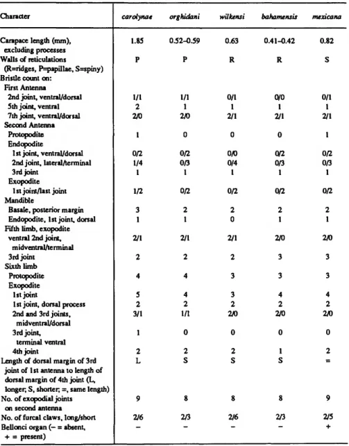 TABLE 1.—Comparison of selected characters of female Danielopolina. Specimens are adults, except for D.