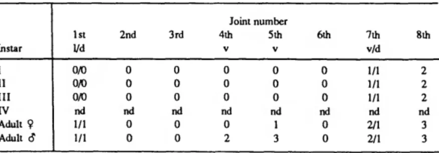 Kornicker and Sohn (1976: table 5) listed the order of appearances of bristles on the 1st antenna of T