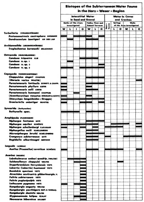 FIGURE 1.—The ecological distribution of stygobiont groundwater organisms in various valleys of the Weser-system (W, Weser; L, Leine; I, Innerste; O, Oker) and in caves of the Harz Mountains.