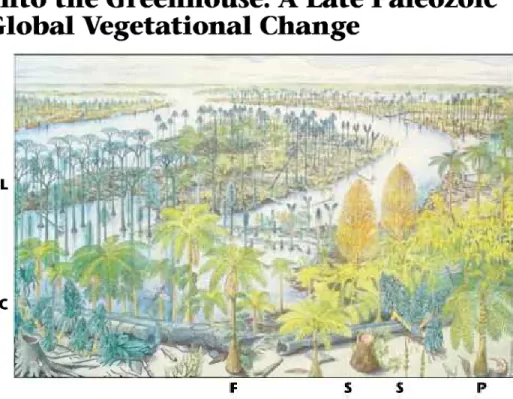 Figure 1. Reconstruction of middle late Carboniferous tropical coal swamp showing different plant  communities made up of tree lycopods (L, tree club mosses), tree sphenopsids (two brushlike trees  above letter S in center and tree scouring rushes), tree f