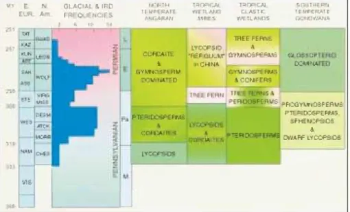 Figure 2. Relation between global glaciation and vegetative change during the late Paleozoic in different  tropical environments and the north and south temperate belts